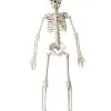 Halloween Knochenskelett 40 Cm -Günstiger Karneval Universum Shop bewegliches halloween skelett possable halloween skeleton kunststoff skelett 40cm 37967 01