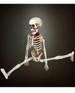 Bewegliches Skelett Gerippe 40cm -Günstiger Karneval Universum Shop bewegliches skelett 40cm posable skeleton 40cm halloween deko skelett deko 52010 03