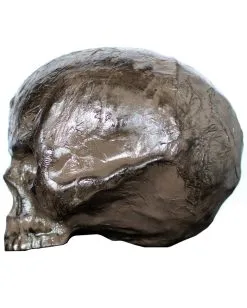 Modriger Halloween Totenkopf -Günstiger Karneval Universum Shop halloween totenschaedel vermodert rotten halloween skull totenkopf horror dekoration 52601 2