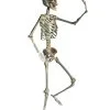 Positionierbares Halloween Skelett 160cm 1 Positionierbares Halloween Skelett 160cm -Günstiger Karneval Universum Shop lebensgrosses halloween skelett 160cm lifesize poese hold skeleton halloween und horror deko 53537