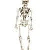 Hängefigur Mini Skelett 40cm -Günstiger Karneval Universum Shop mini skelett torso haengefigur 40cm plastic skeleton halloween decoration halloween partyzubehoer 35972