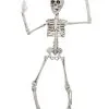 Positionierbares Knochengerippe 50cm -Günstiger Karneval Universum Shop positionierbares knochenskelett flexibles knochengerippe poseable skeleton halloween dekoration 39604 01