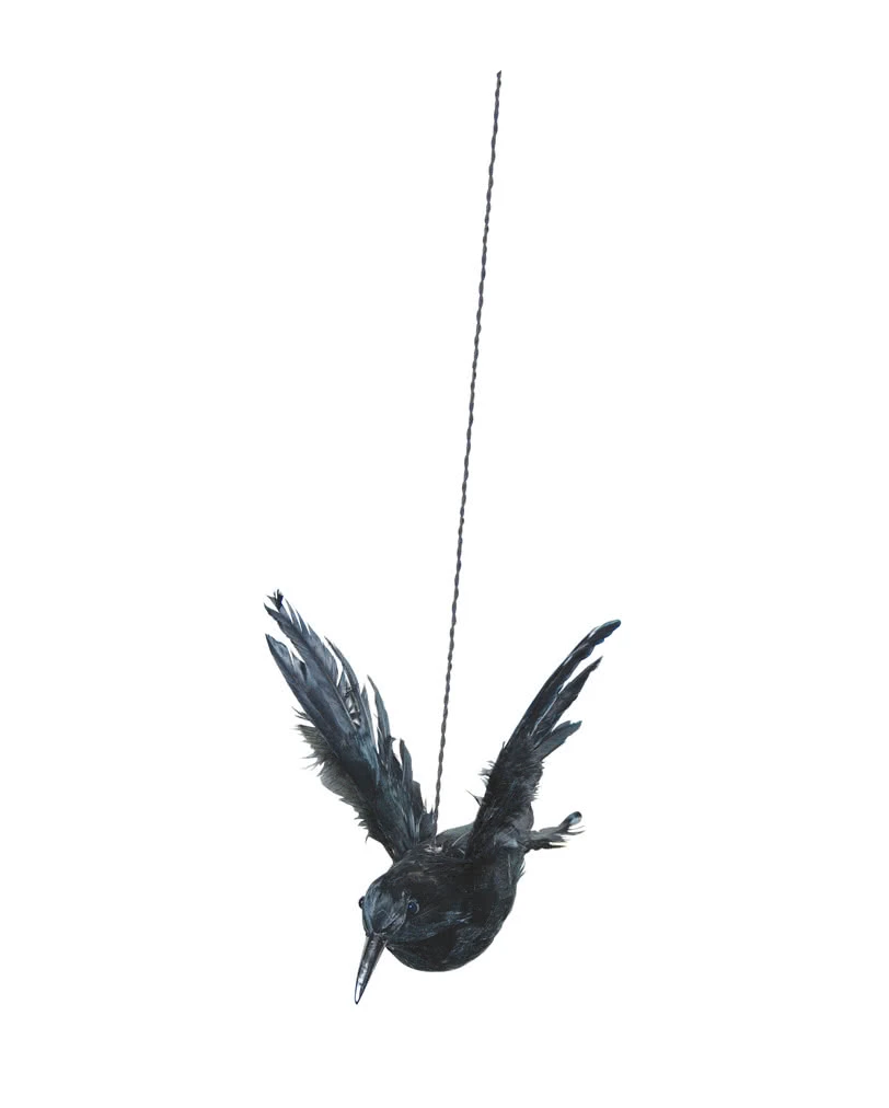 Fliegender Rabe Zum Aufhängen 3 Fliegender Rabe Zum Aufhängen