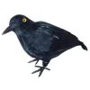 Rabe Schwarz Klein 22cm 1 Rabe Schwarz Klein 22cm -Günstiger Karneval Universum Shop schwarzer rabe mit federn halloween deko black crow halloween decoration 13832 01