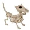 Hunde Skelett Mit Knochen 27cm 1 Hunde Skelett Mit Knochen 27cm -Günstiger Karneval Universum Shop skelett hund mit knochen hunde skelett mit knochen skeleton dog with bone 52641 01