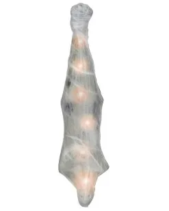 Leiche Im Spinnen Cocon Leuchtend