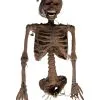 Verweste Torso Hänge Dekoration -Günstiger Karneval Universum Shop verwestes skelett haengetorso halloween deko skelett 37813 2