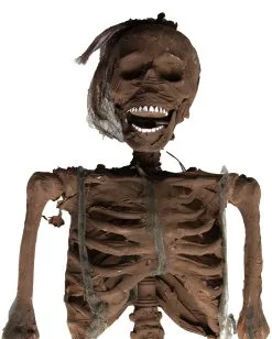 Verweste Torso Hänge Dekoration -Günstiger Karneval Universum Shop verwestes skelett haengetorso halloween deko skelett 37813