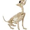 Werwolf Skelett 70cm -Günstiger Karneval Universum Shop werwolf skelett werwolf skeleton halloween skelett halloween deko 52649 01