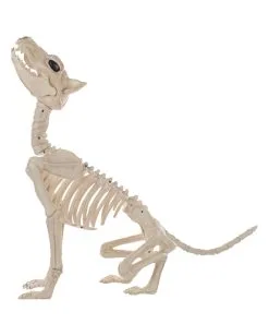 Werwolf Skelett 70cm -Günstiger Karneval Universum Shop werwolf skelett werwolf skeleton halloween skelett halloween deko 52649 03